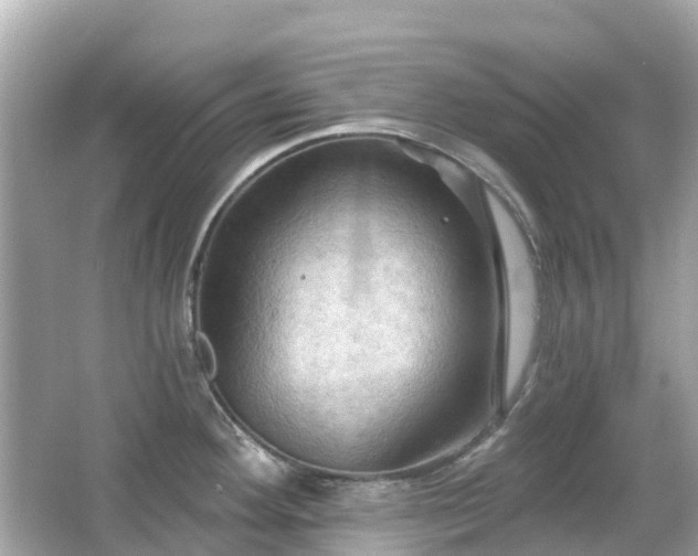 X0000066091292200603131154