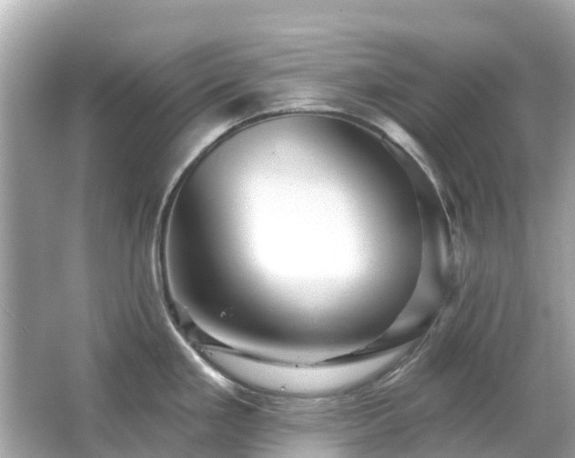 X0000066091293200603131154