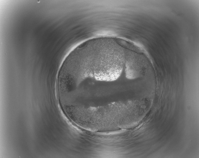 X0000066091295200603131154