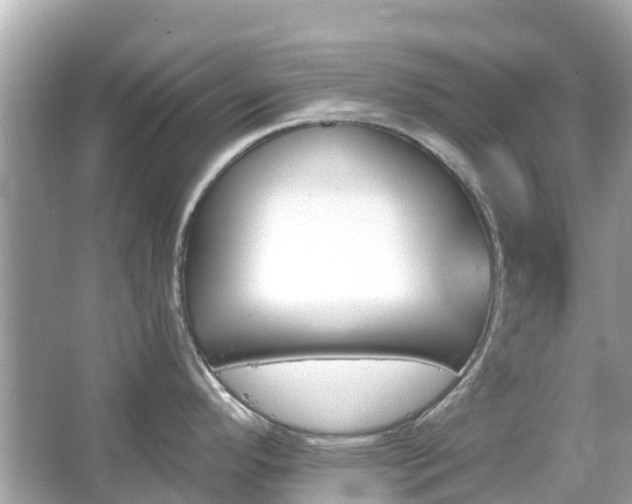 X0000066091296200603131154