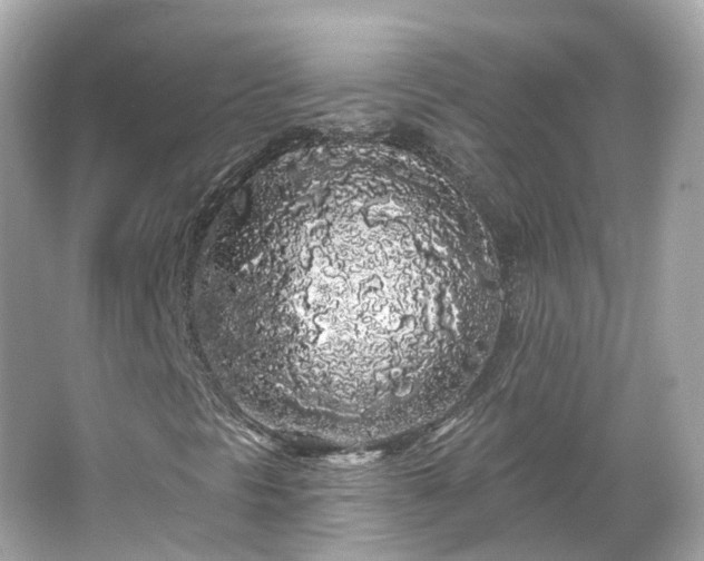 X0000066091297200603131153