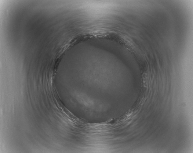 X0000066091298200603131153