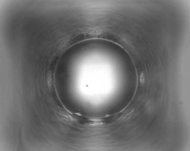 X0000066091299200603131153