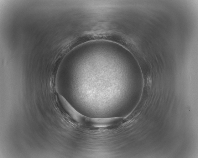 X0000066091300200603131153