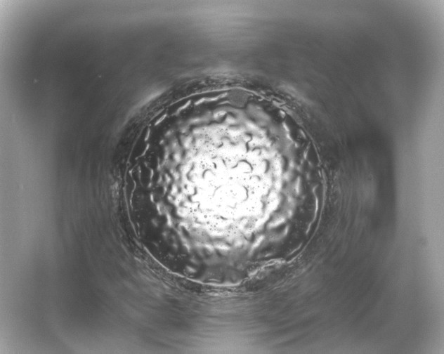 X0000066091302200603131153