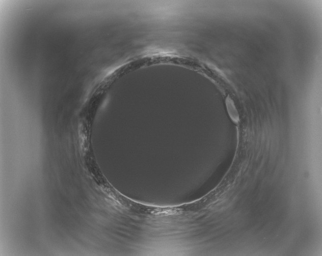 X0000066091303200603131153