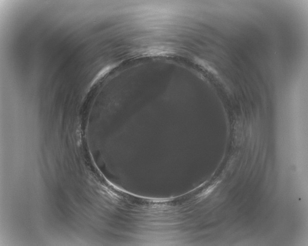 X0000066091306200603131153