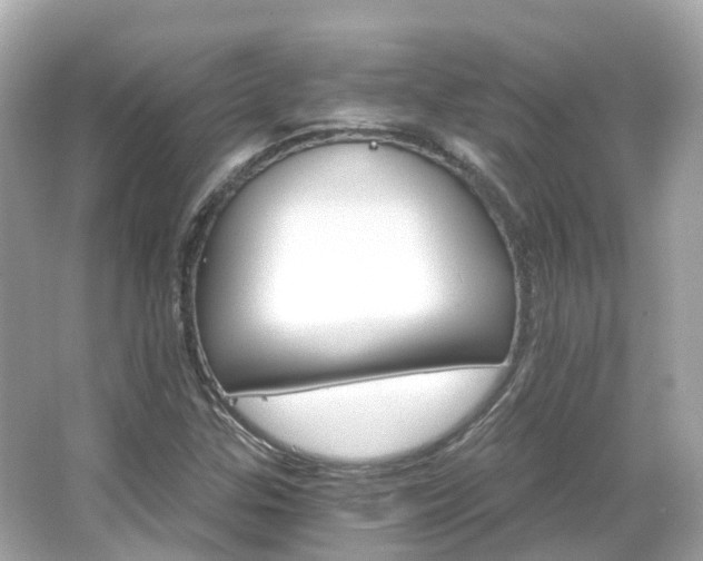 X0000066091307200603131153