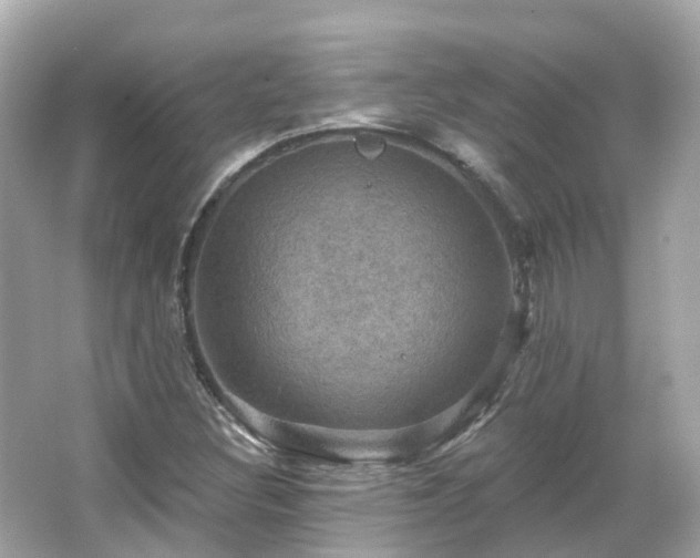 X0000066091308200603131153