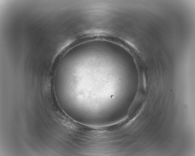 X0000066091309200603131153