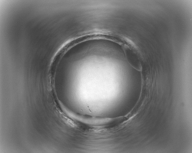 X0000066091310200603131153