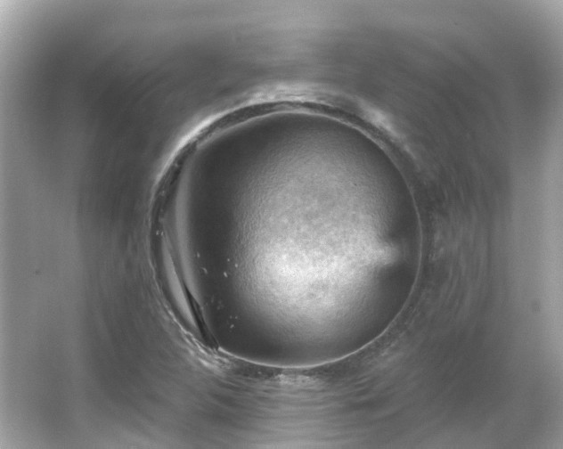 X0000066091312200603131153