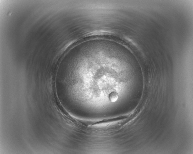 X0000066091313200603131153