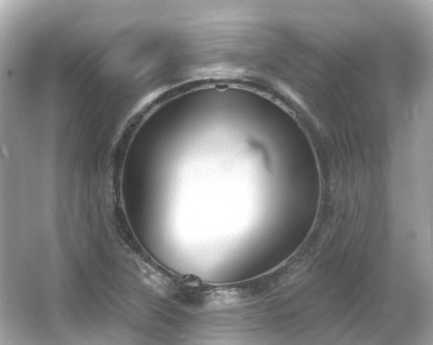 X0000066091315200603131153