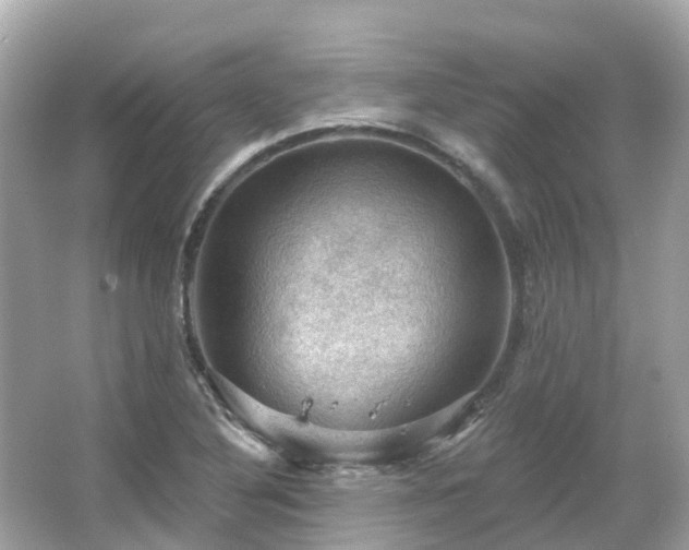 X0000066091316200603131153