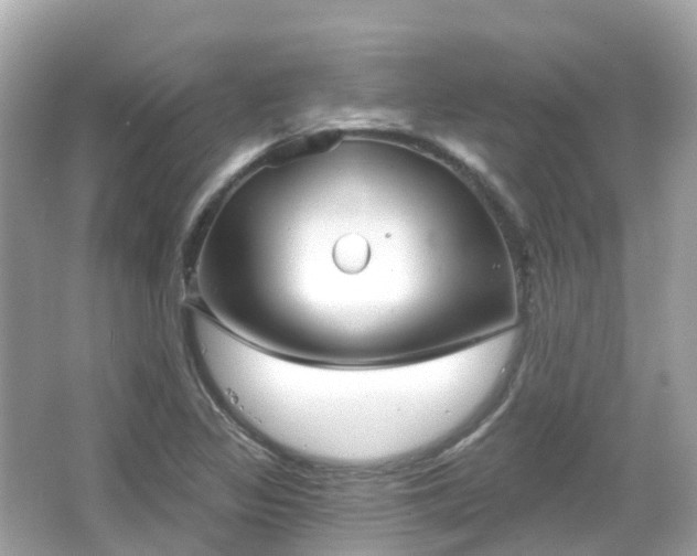 X0000066091317200603131153