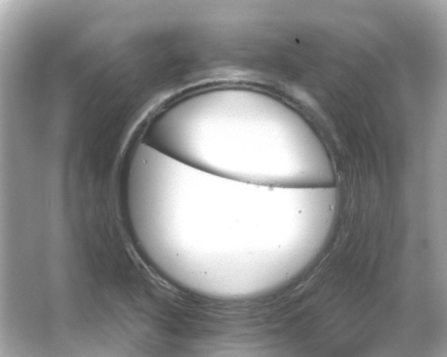 X0000066091318200603131153