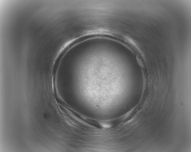 X0000066091320200603131153