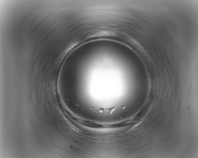 X0000066091321200603131153