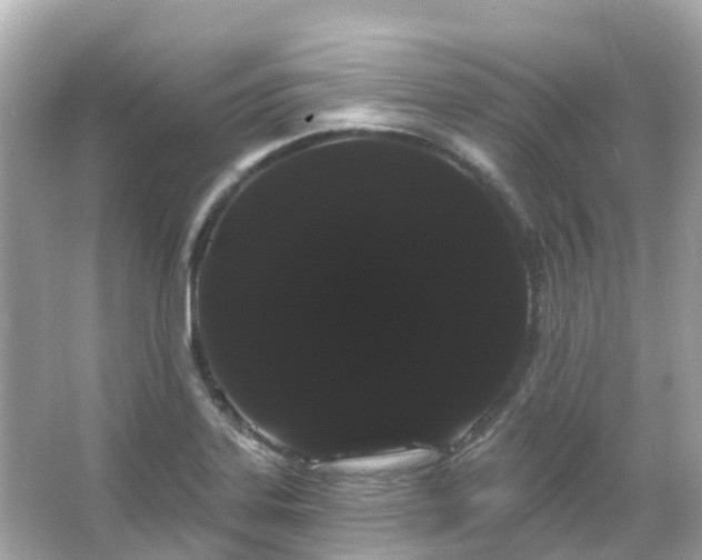 X0000066091323200603131153