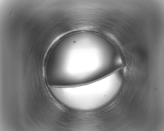 X0000066091324200603131153