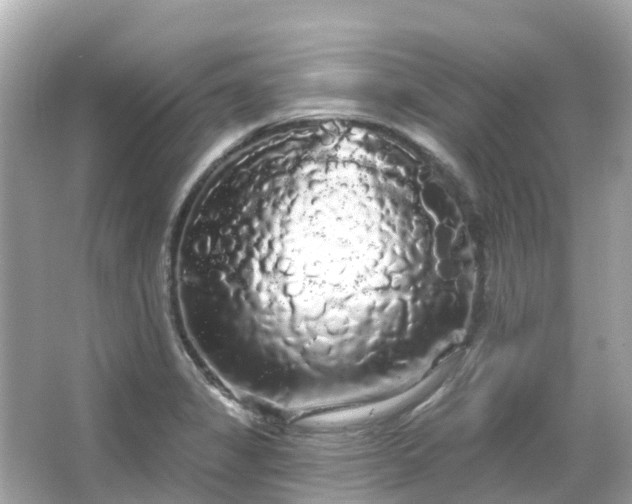 X0000066091325200603131153