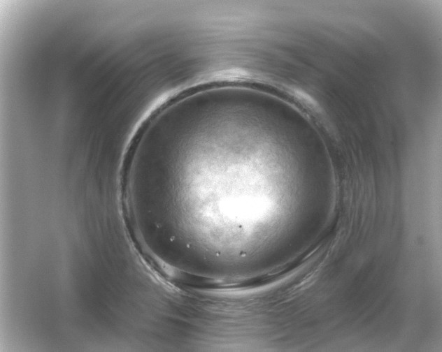 X0000066091326200603131153