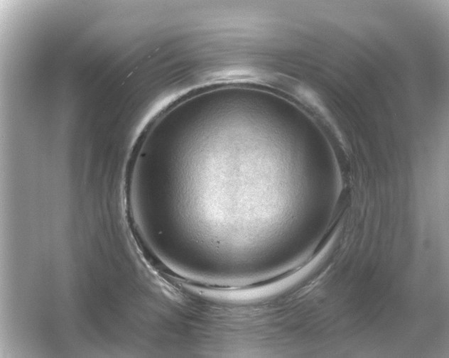 X0000066091328200603131154