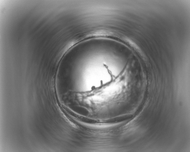 X0000066091329200603131154