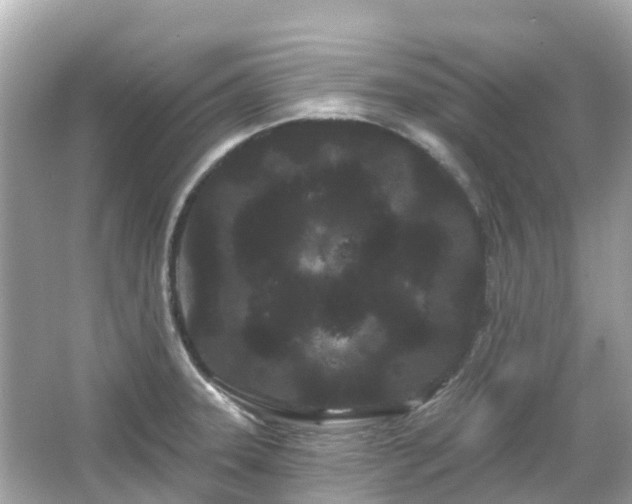 X0000066091331200603131154