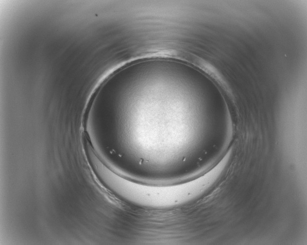 X0000066091332200603131154