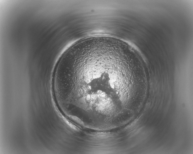 X0000066091333200603131154