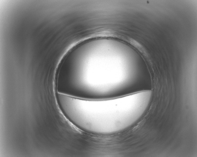 X0000066091334200603131154