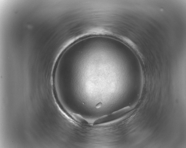 X0000066091335200603131154