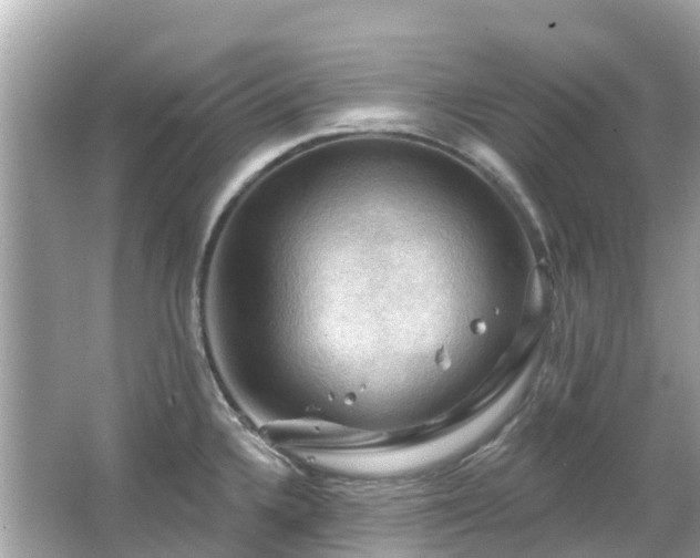 X0000066091336200603131154