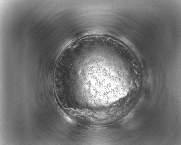 X0000066091337200603131154