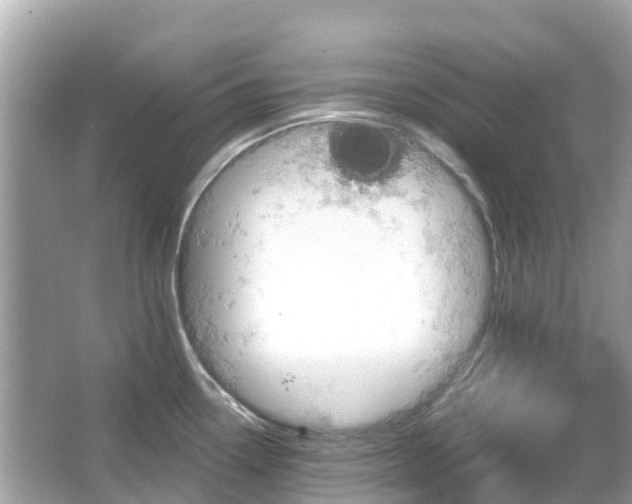 X0000066091338200603131154