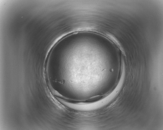 X0000066091340200603131154