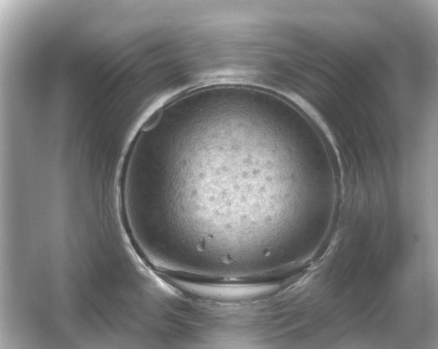 X0000066091341200603131154