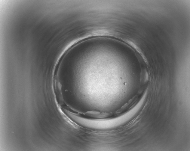 X0000066091342200603131154