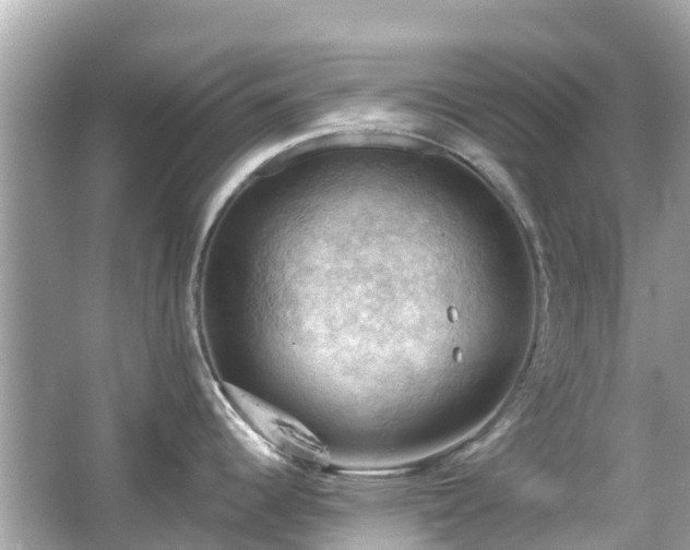 X0000066091344200603131154