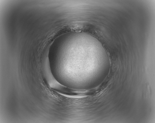 X0000066091345200603131153