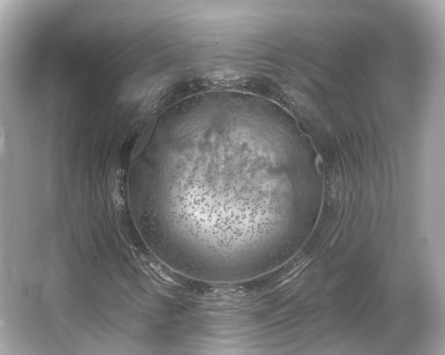 X0000066091346200603131153