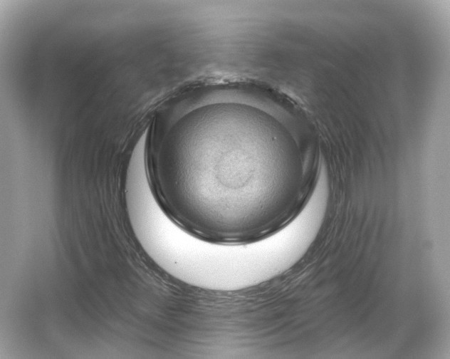 X0000066091348200603131153