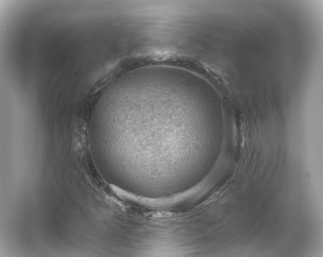 X0000066091349200603131153