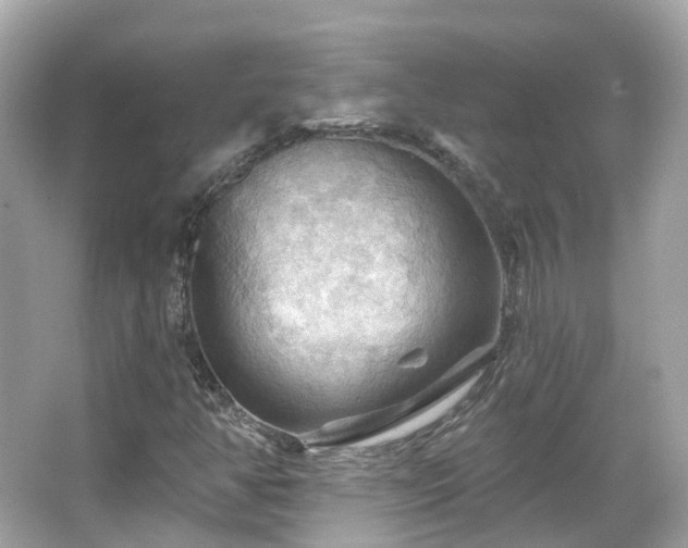 X0000066091350200603131153