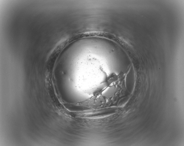 X0000066091351200603131153