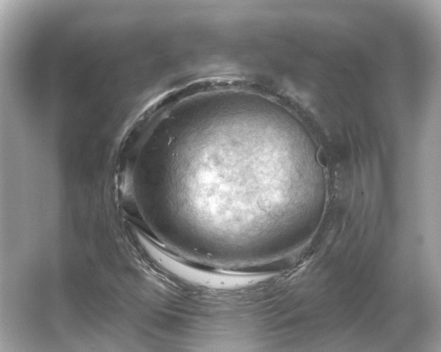 X0000066091352200603131153