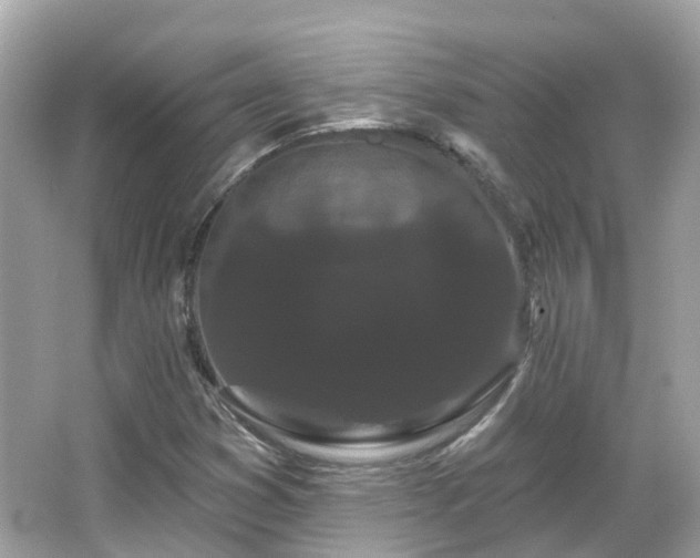 X0000066091353200603131153