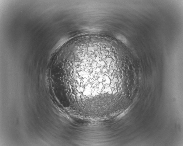 X0000066091354200603131153